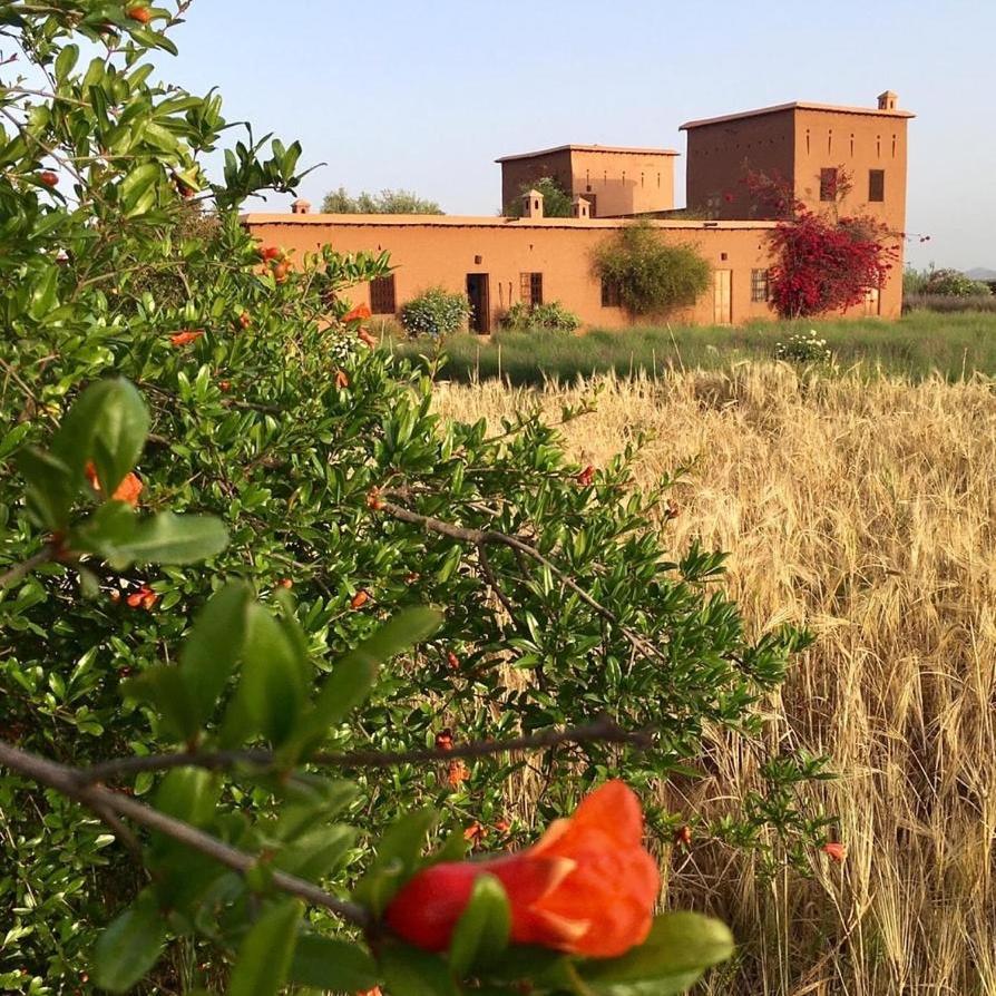 Dar Tasmayoun Ait Ourir ภายนอก รูปภาพ